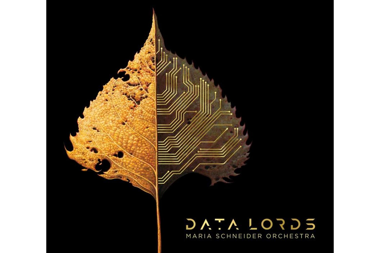 Data Lords album cover