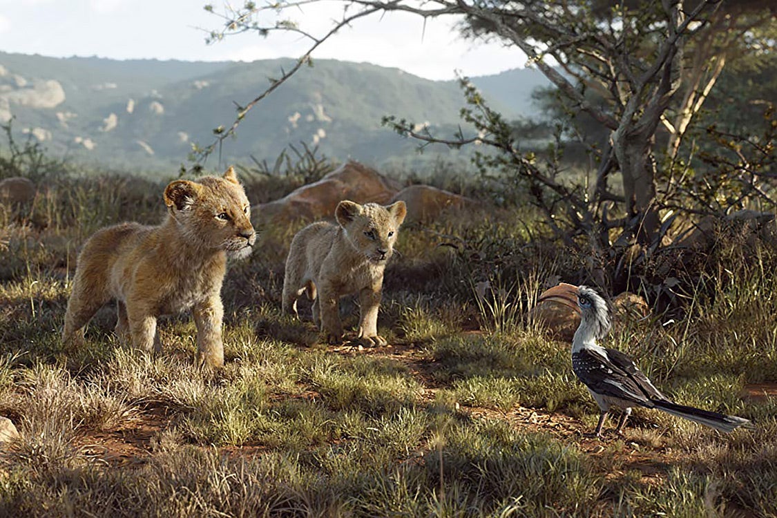 Simba, Nala, and Zazu in The Lion King.