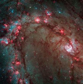 Hubble closeup of M83 spiral arm, where stars are being born.