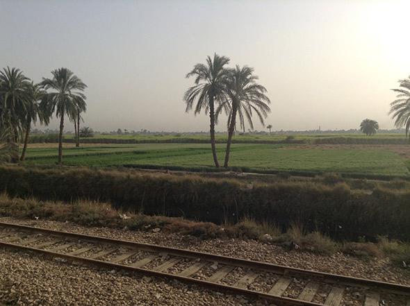 Egyptian landscape.