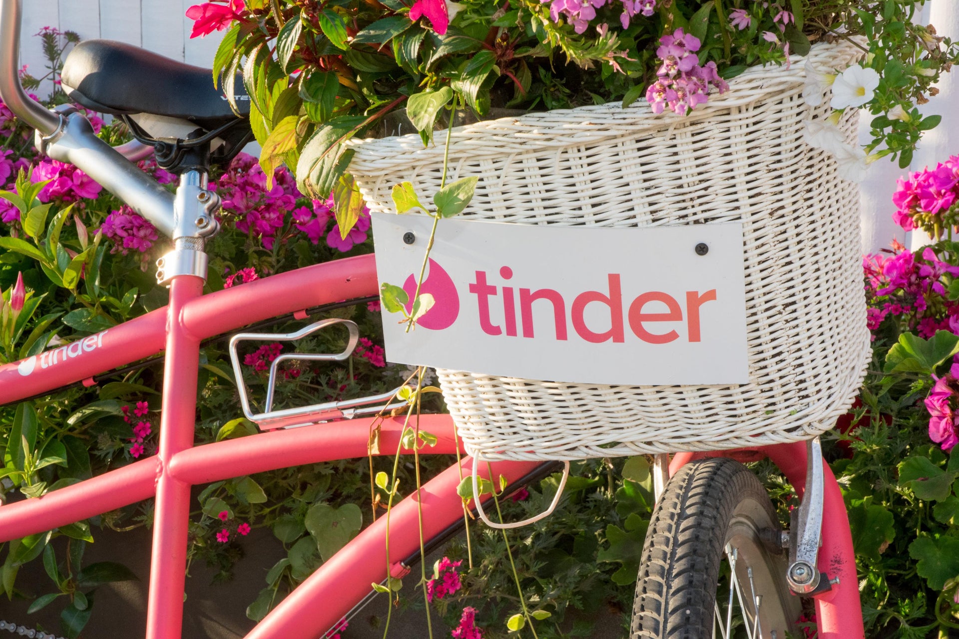 Tinder isn’t the only dating app that leaves your information and