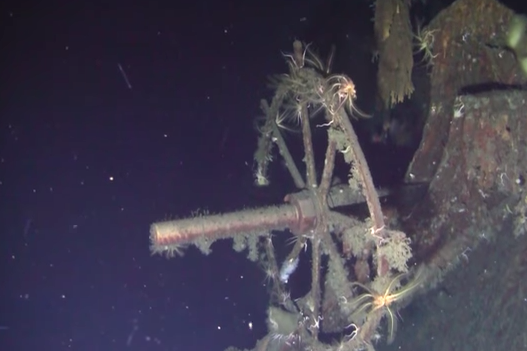 Underwater wreckage of a ship believed to be the Russian Imperial Navy cruiser, the Dimitrii Donskoi.