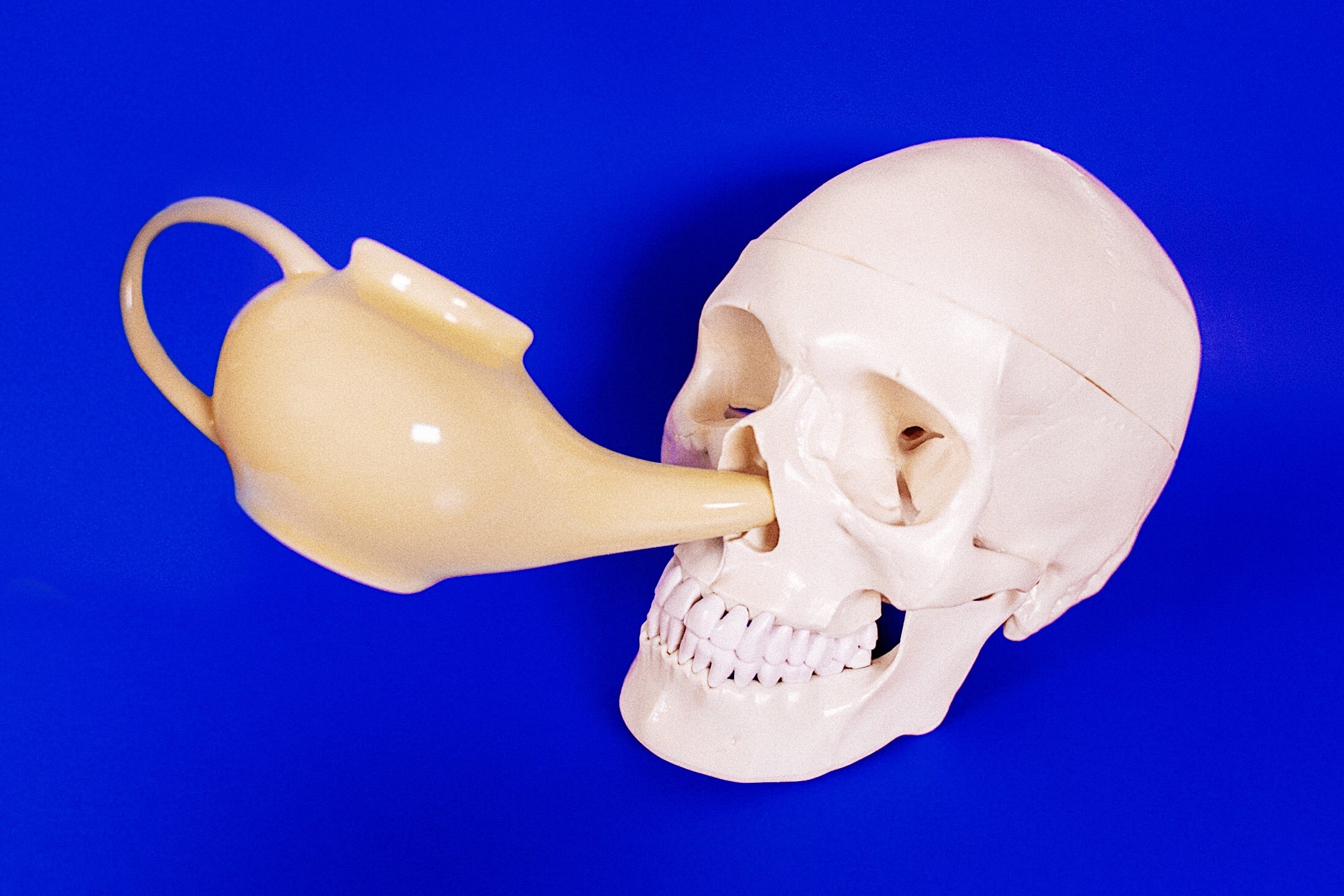 Neti pot irrigating the nasal passages of a human skull on a blue background.