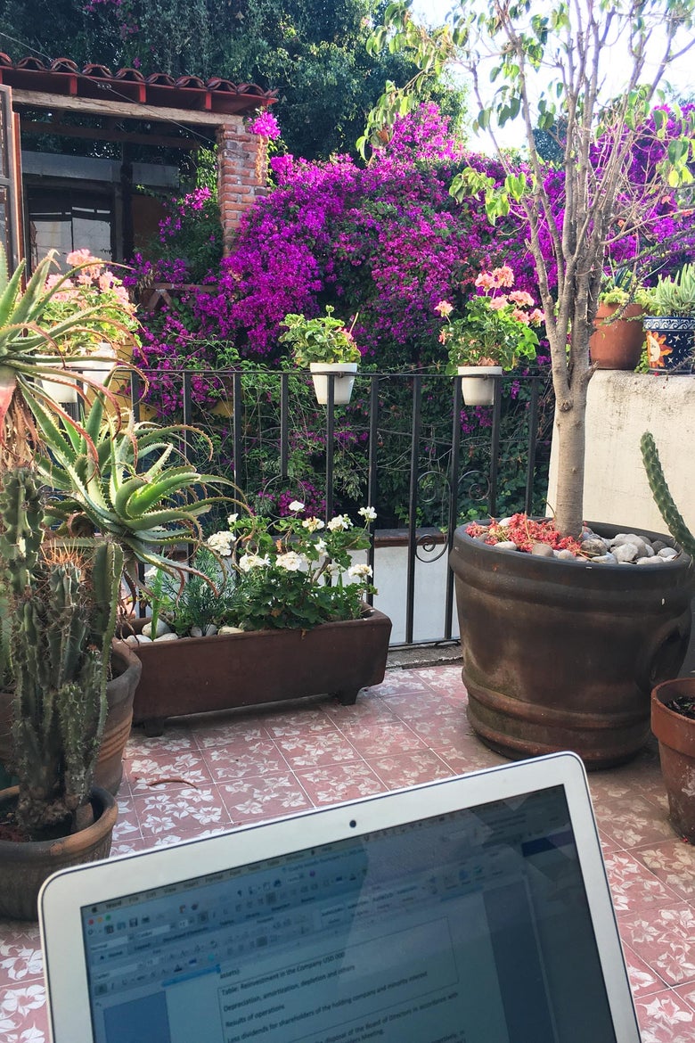 Laptop on a terrace with many floral plants.