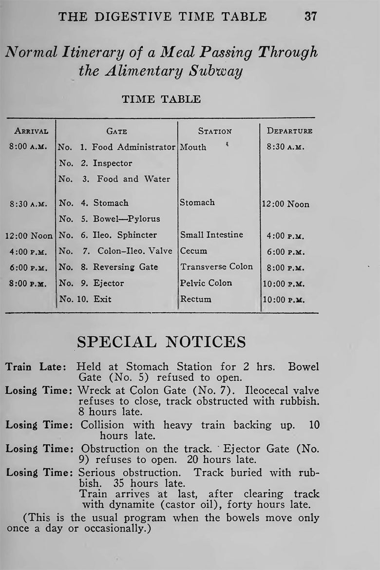 Kellogg’s digestive timetable.