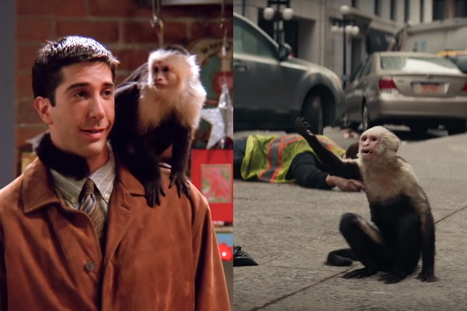 On the left, Ross (David Schwimmer) with Marcel on his shoulder. On the right, Ampersand in Y: The Last Man.