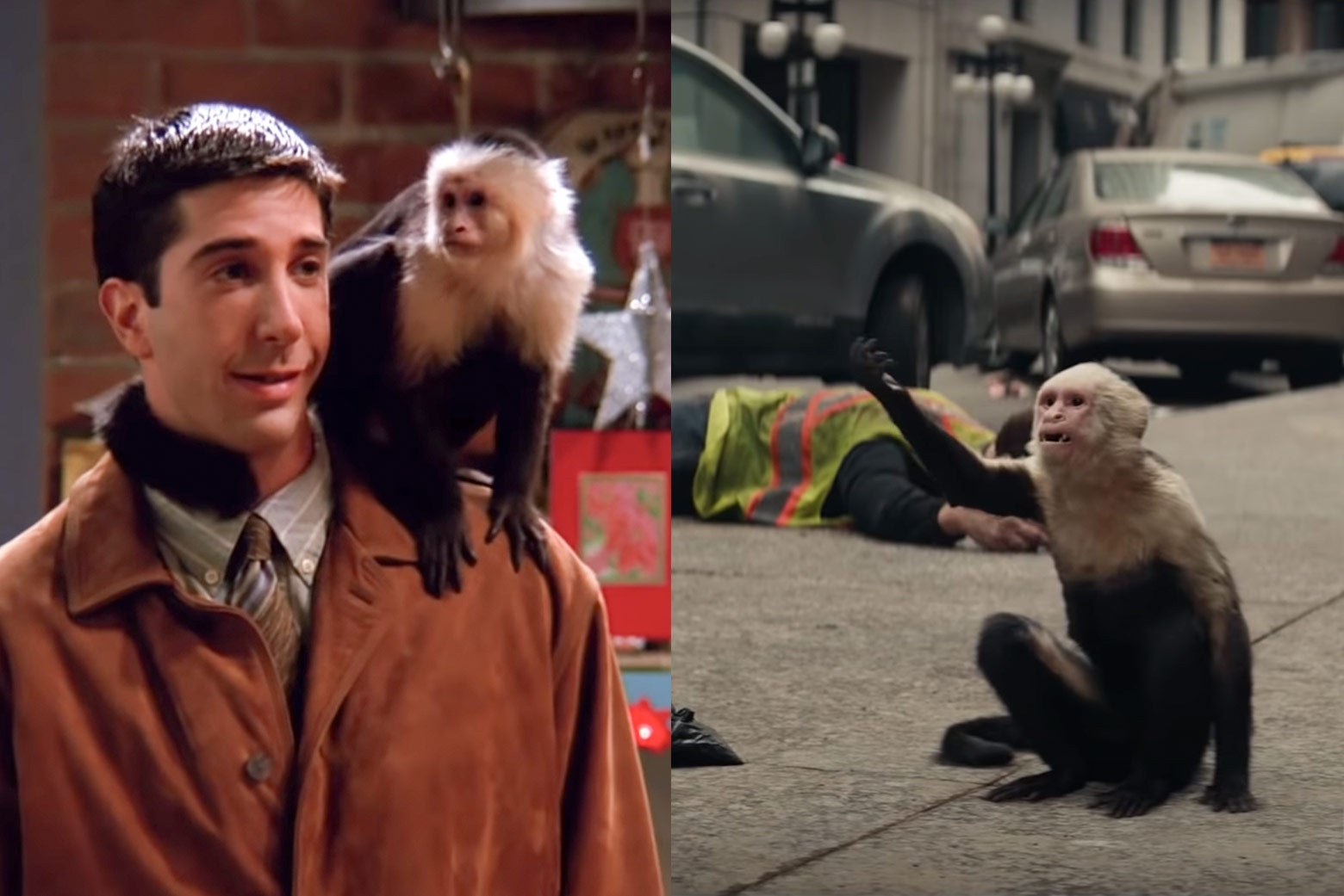 Y: The Last Man: Is the FX series’ monkey still played by Marcel from Friends?