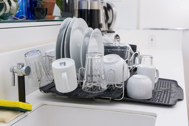 dishes in the Polder