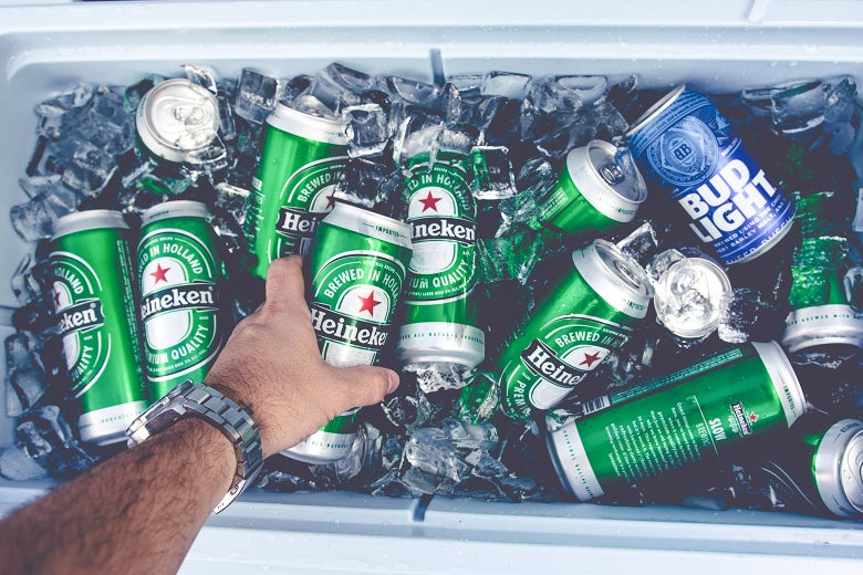 A person reaches into a cooler stocked with beer cans of Heineken and Bud Light.
