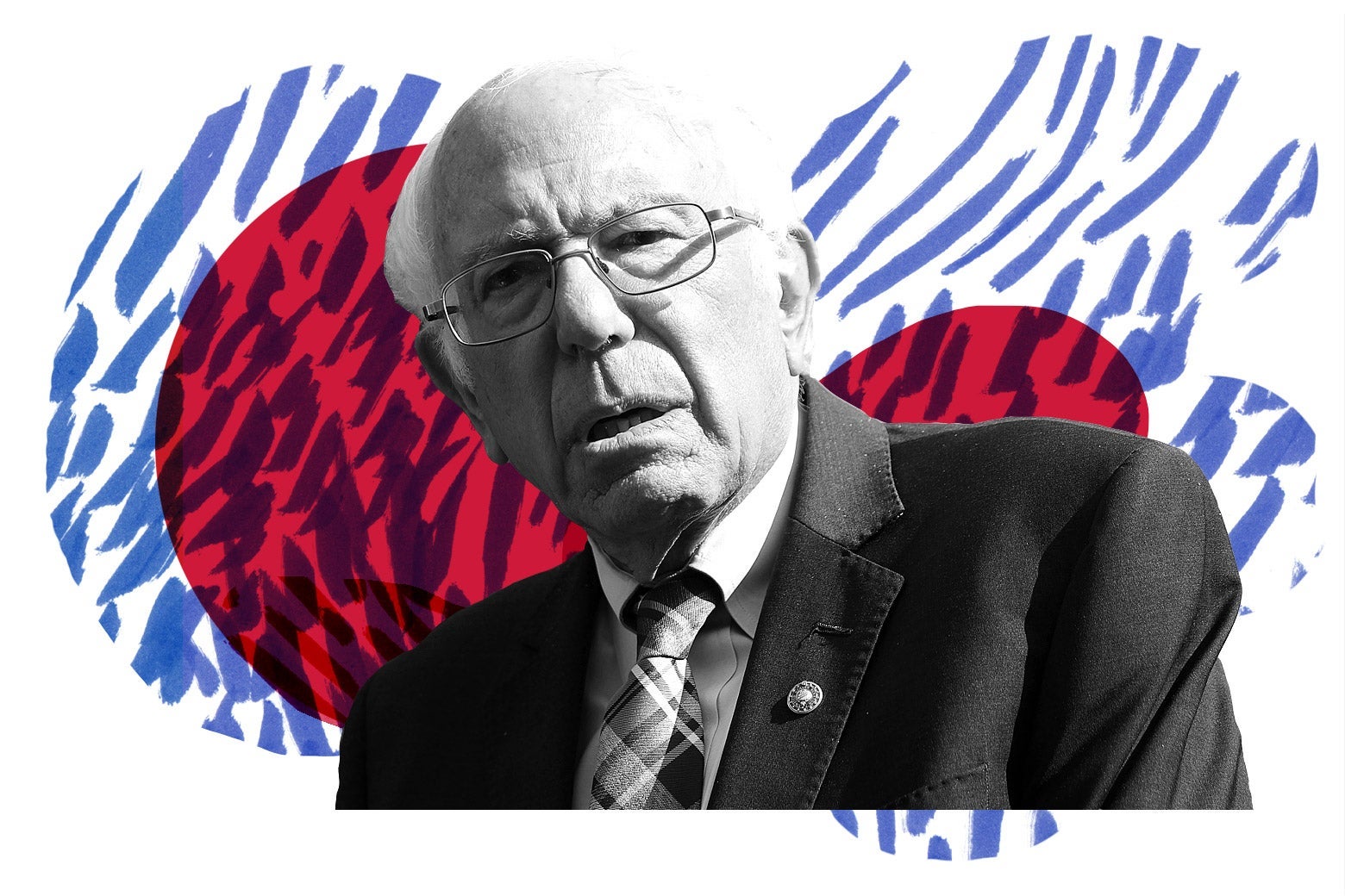 Bernie Sanders