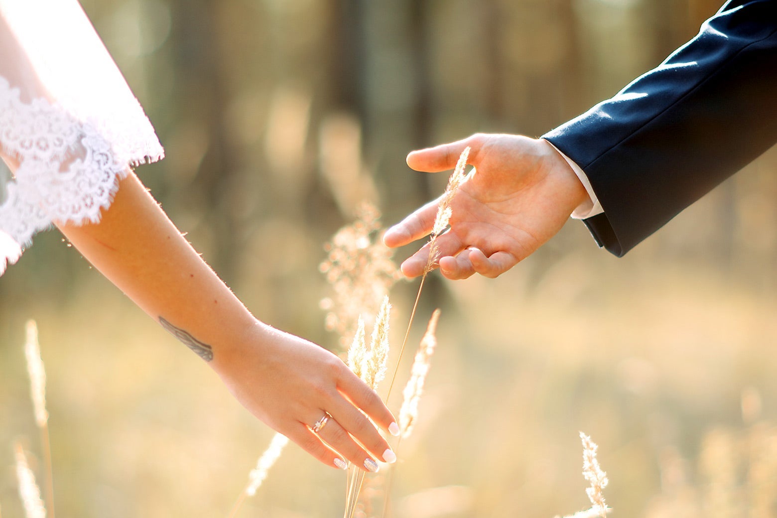 The hands of a bride and groom reach out toward each other in a meadow.