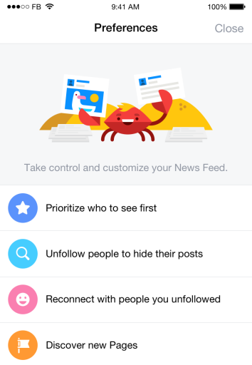 Facebook News Feed preferences