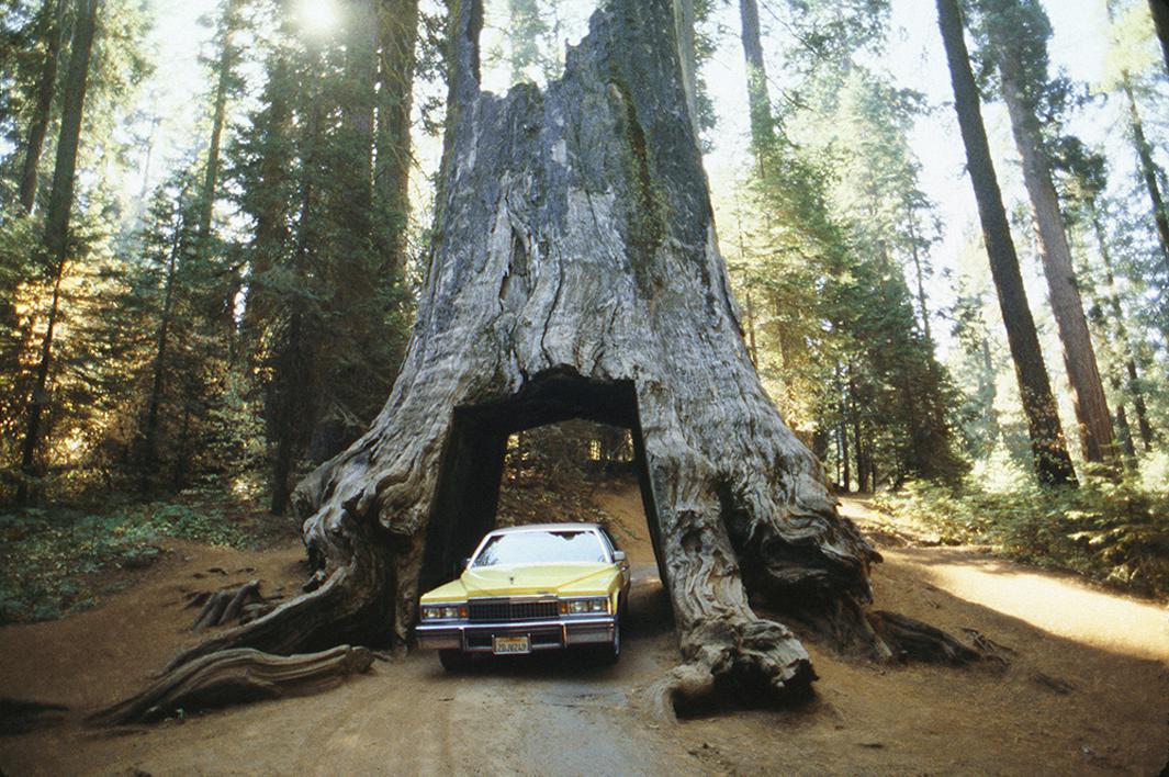 Dad's yellow Cadillac, near Yosemite, CA. October, 1988.