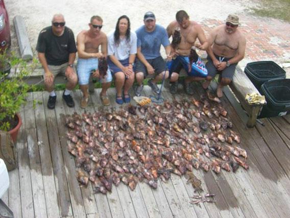 Lots, and lots, of lionfish caught by the Discovery Diving crew on one day.