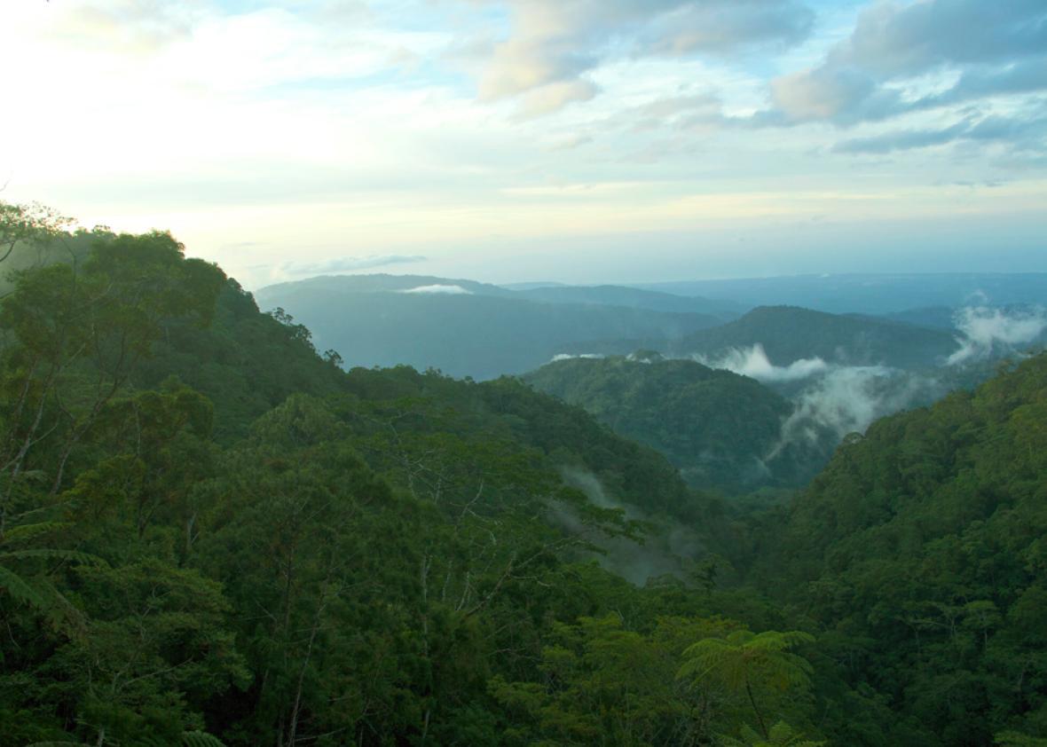 The remote "sky island" of Guadalcanal, Papua New Guinea.