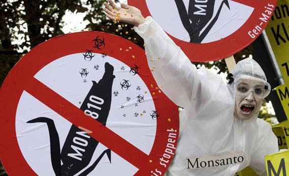 An activist of the online network "Campact" protests outside the administrative court in Braunschweig, northern Germany, on April 28, 2009 against a request by US biotech giant Monsanto.