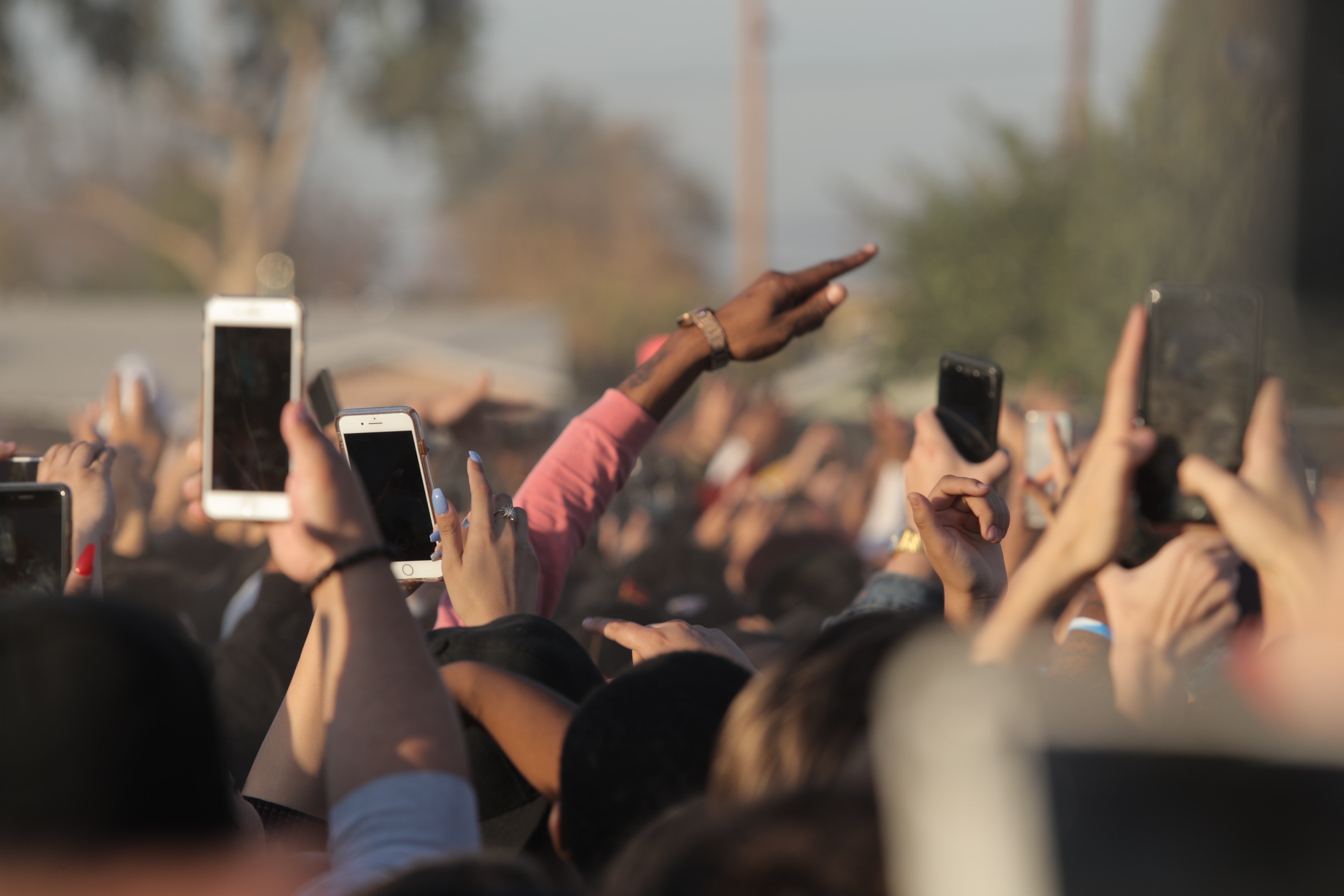 People in a crowd raise their arms and their phones.