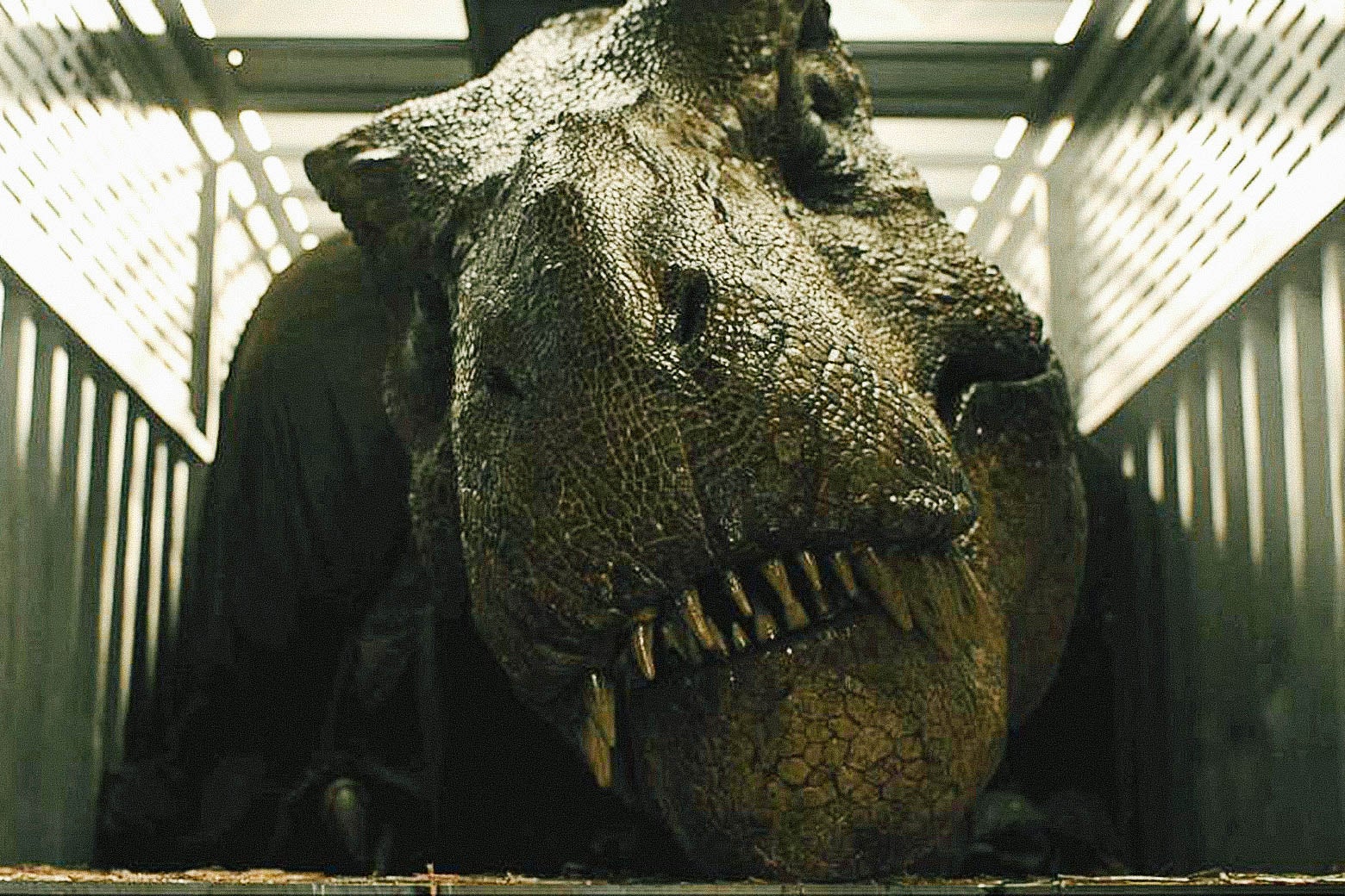 A dinosaur in a large cage.