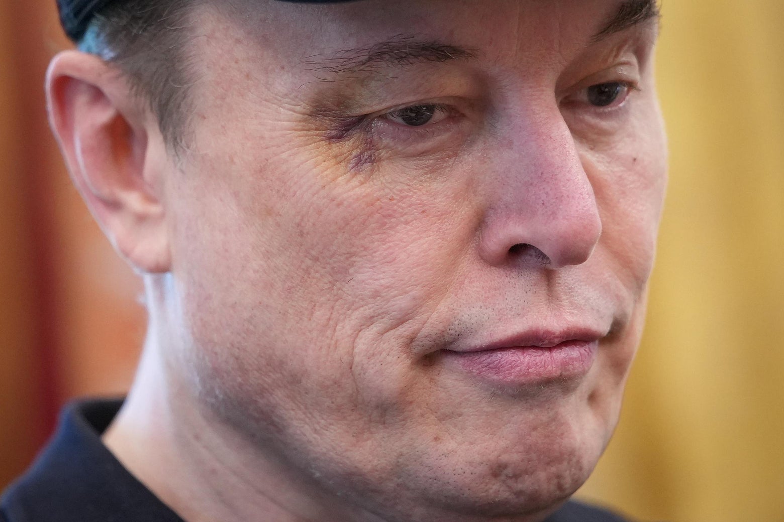 Elon Musk Attempts to Launch a Viable Third Party Via Social Media Post