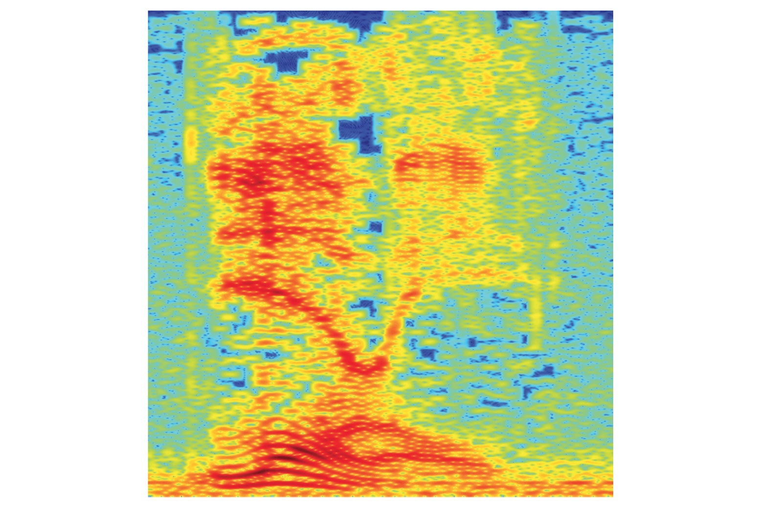 A spectrogram of the audio.