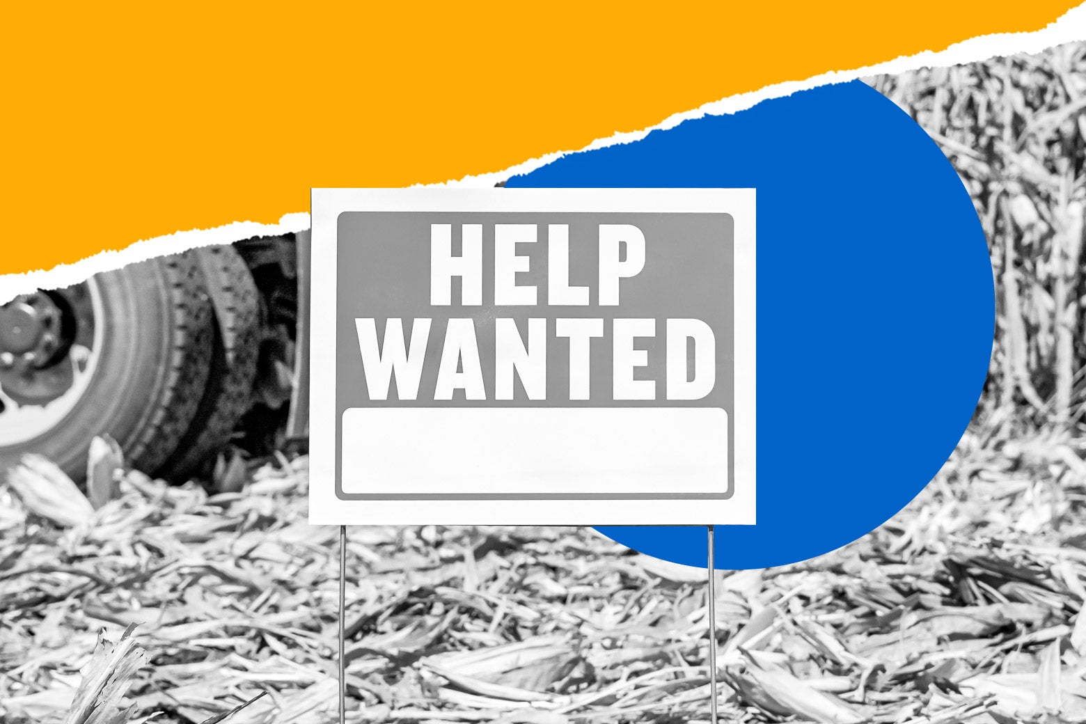 The New Era of Child Labor