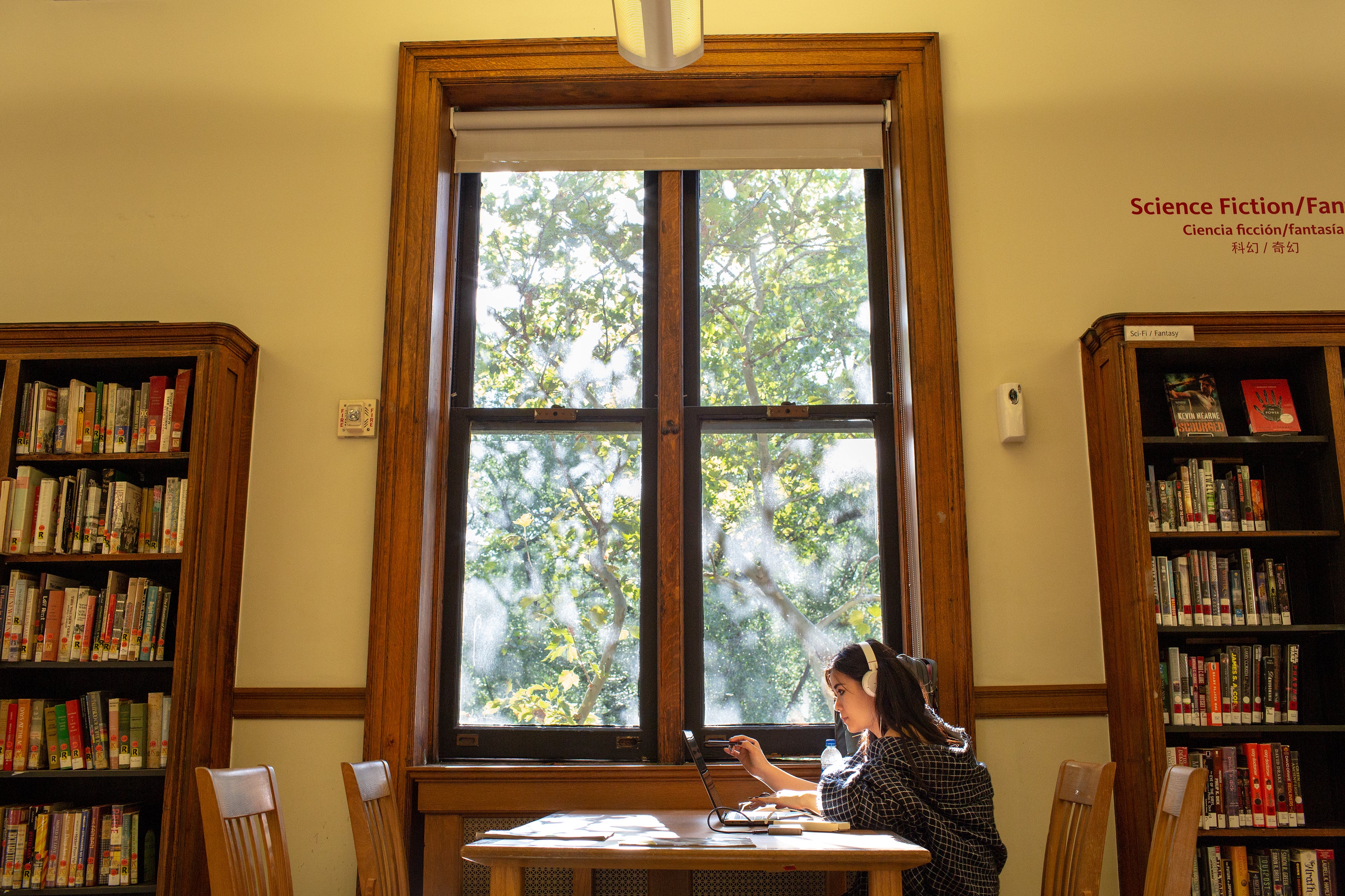 A young woman uses her laptop at a table by the window, sunlight streaming in.