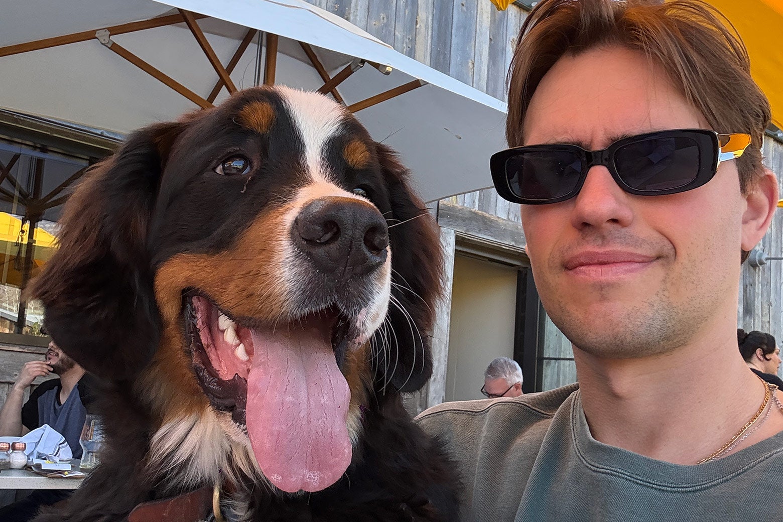 His Dog Died in Boarding and Ignited a Scandal. It Happens More Often Than You’d Think.