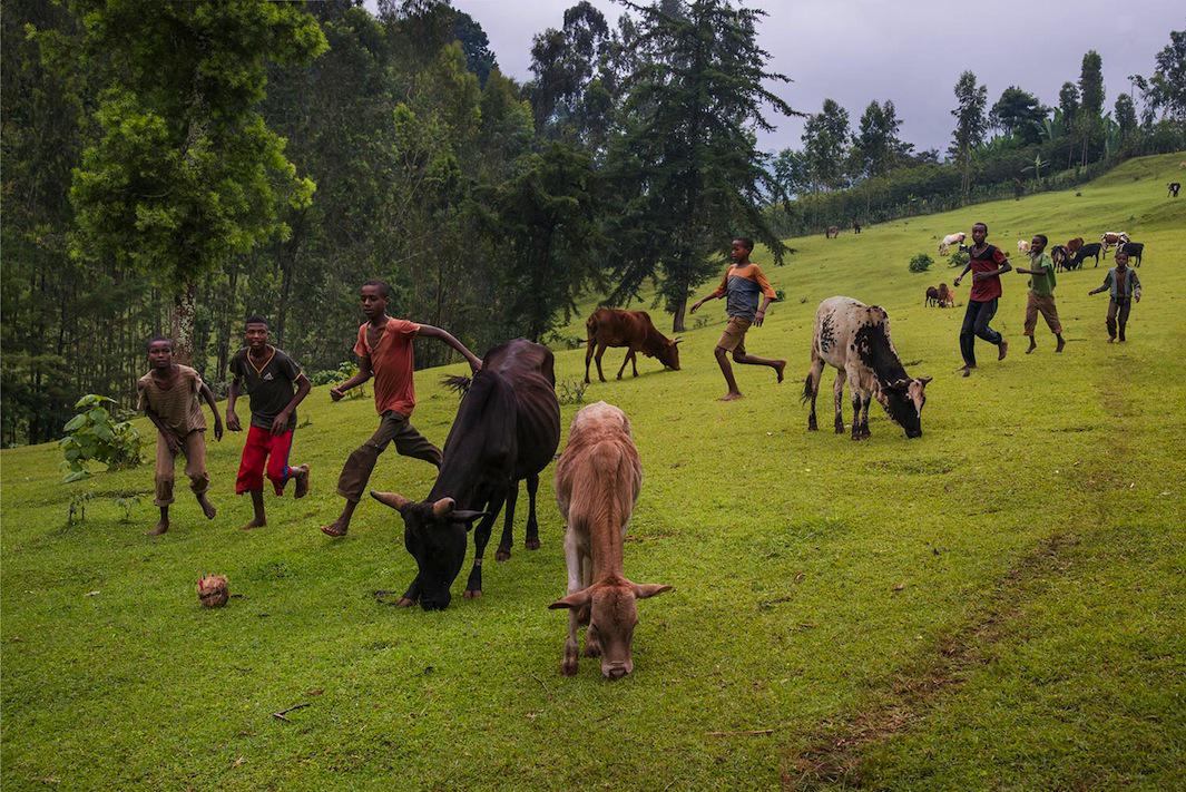 Steve McCurry photographs coffee production around the world in his book,  From These Hands. (PHOTOS.)