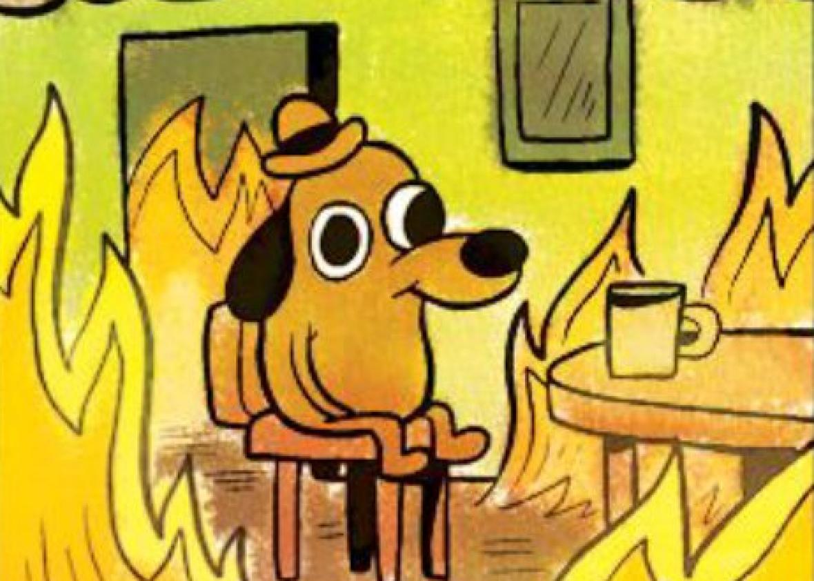 2016 Is Going So Poorly That We Broke The This Is Fine Dog Meme -  Memebase - Funny Memes