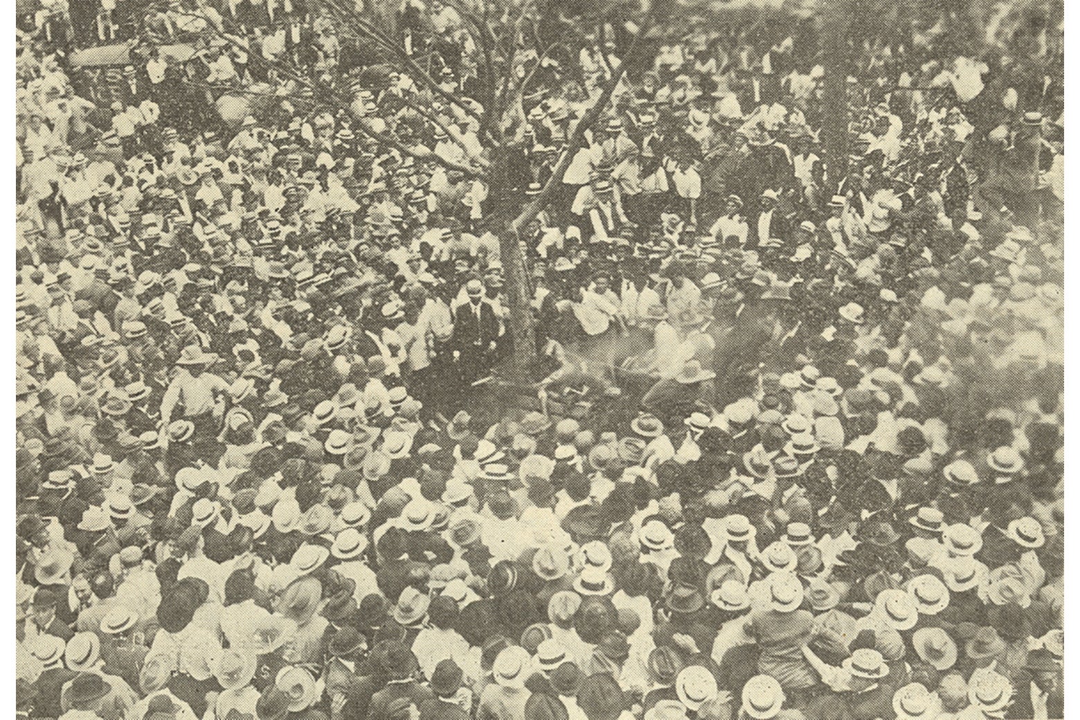 A shot from a high angle of a well-dressed crowd, many wearing straw hats, surrounding Jesse Washington's lynching.