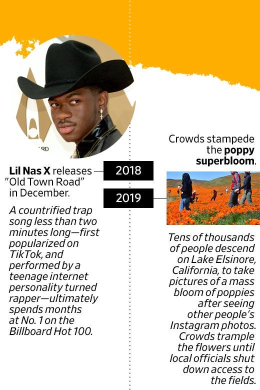 Photo of Lil Nas X's face. In 2018, Lil Nas X releases "Old Town Road" in December. A countrified trap song less than two minutes long—first popularized on TikTok, and performed by a teenage internet personality turned rapper—ultimately spends months at No. 1 on the Billboard Hot 100. Photo of people in a poppy field. In 2019, crowds stampede the poppy superbloom. Tens of thousands of people descend on Lake Elsinore, California, to take pictures of a mass bloom of poppies after seeing other people's Instagram photos. Crowds trample the flowers until local officials shut down access to the fields.