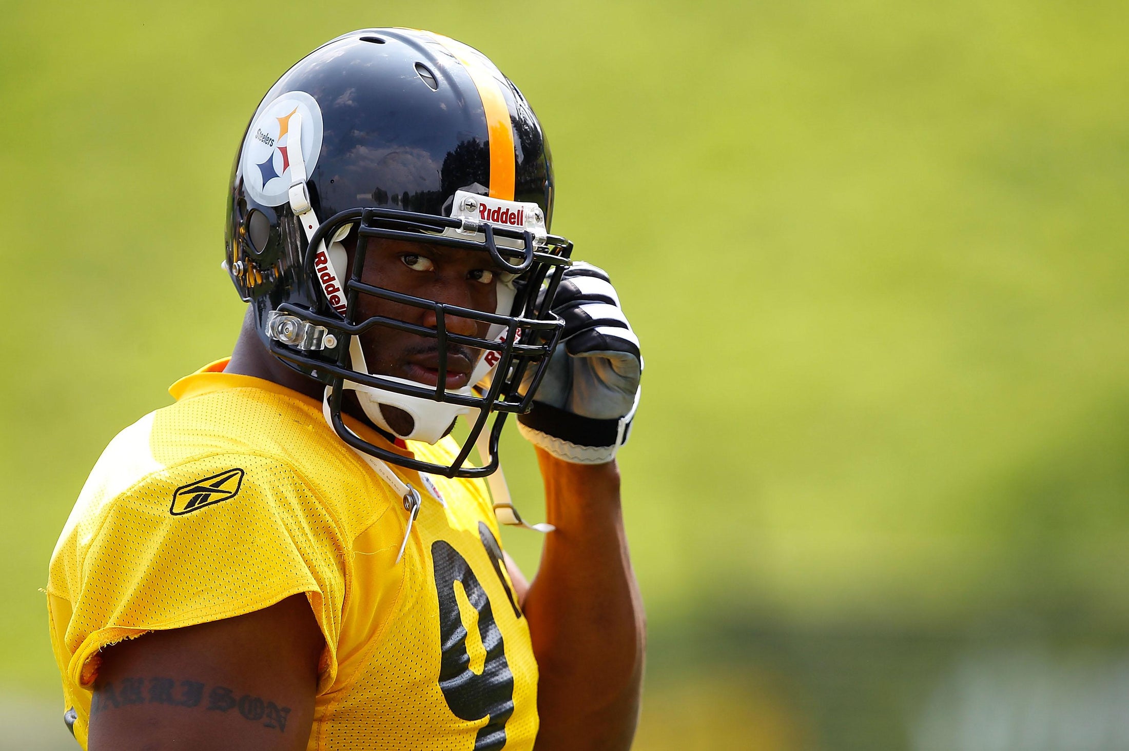 James Harrison, Colt McCoy: Does the Steelers linebacker like hurting