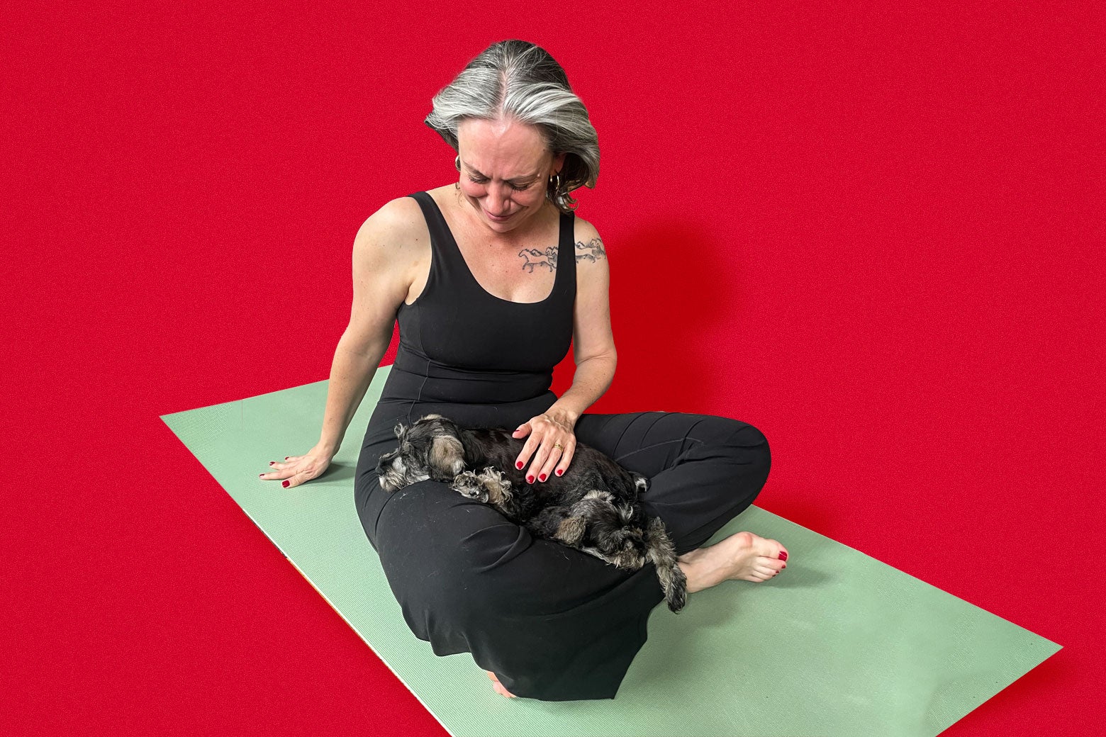 I've Always Been Serious About Yoga. Then Came the Horde of Miniature Schnauzers.