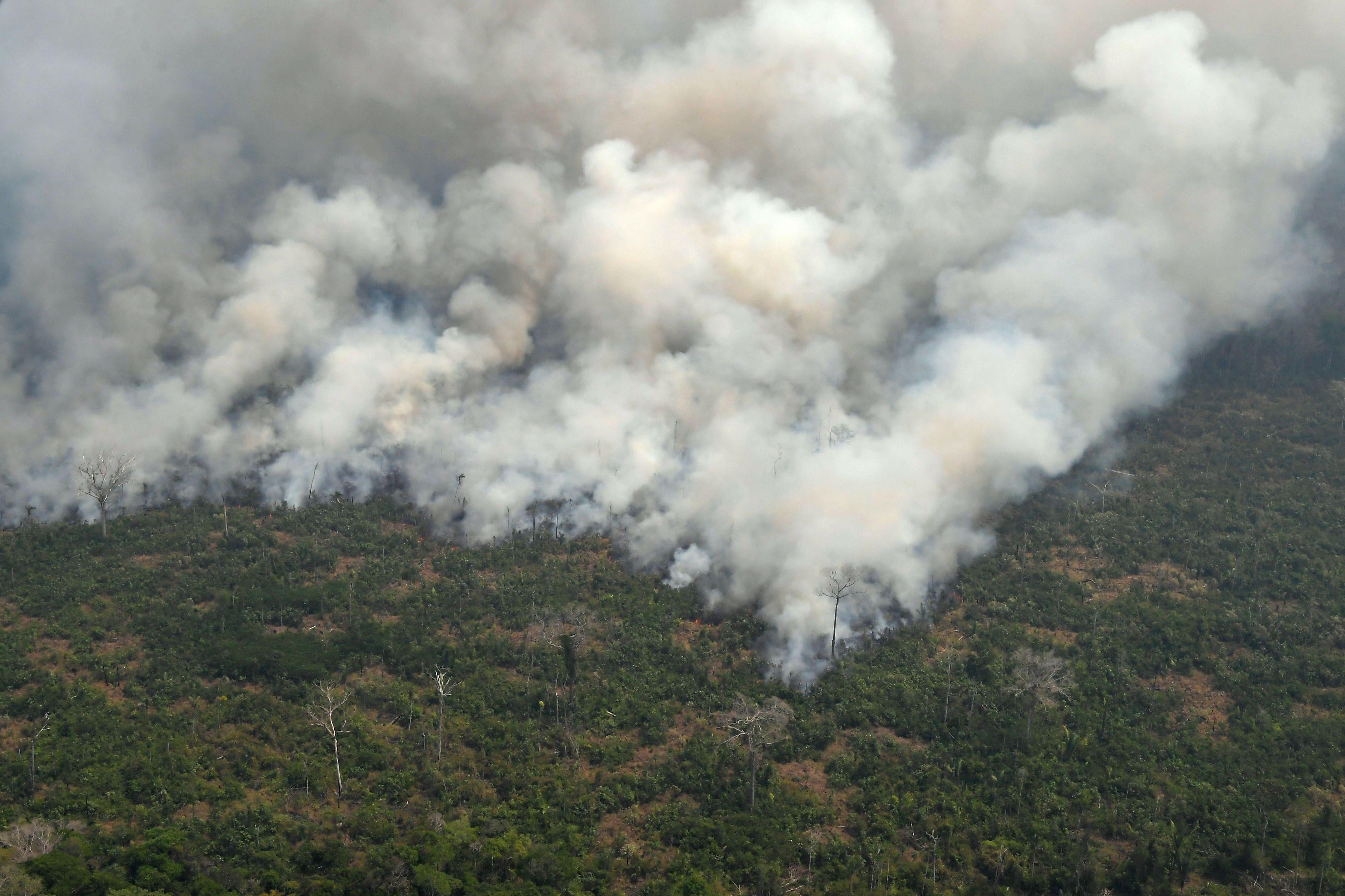 Aerial picture showing smoke from a two-kilometre-long stretch of fire billowing from the Amazon rainforest about 65 km from Porto Velho, in the state of Rondonia, in northern Brazil, on August 23, 2019.