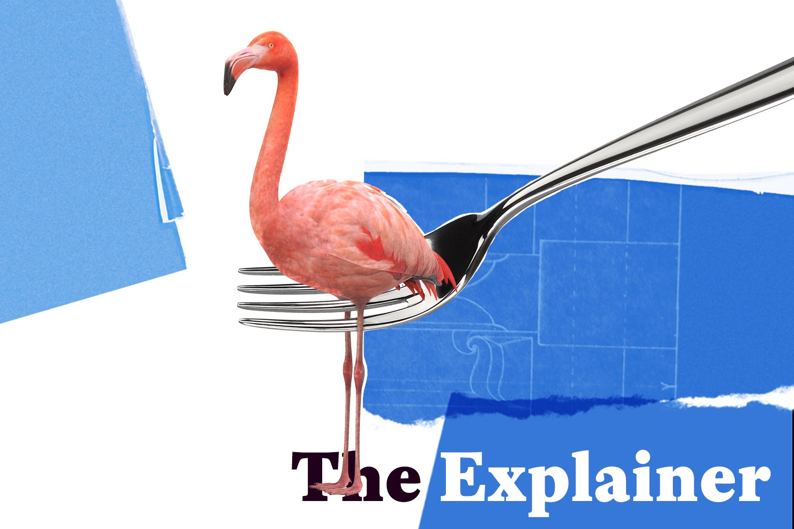 A flamingo caught in a fork, looking supposedly delectable