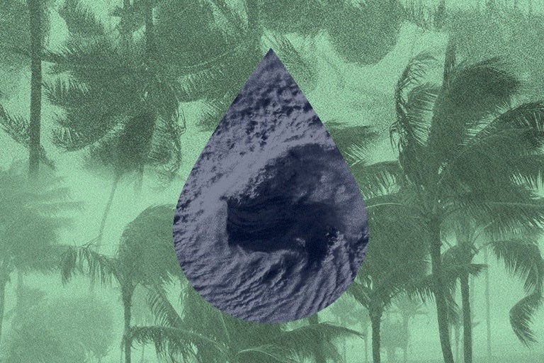 A collage of hurricane images.