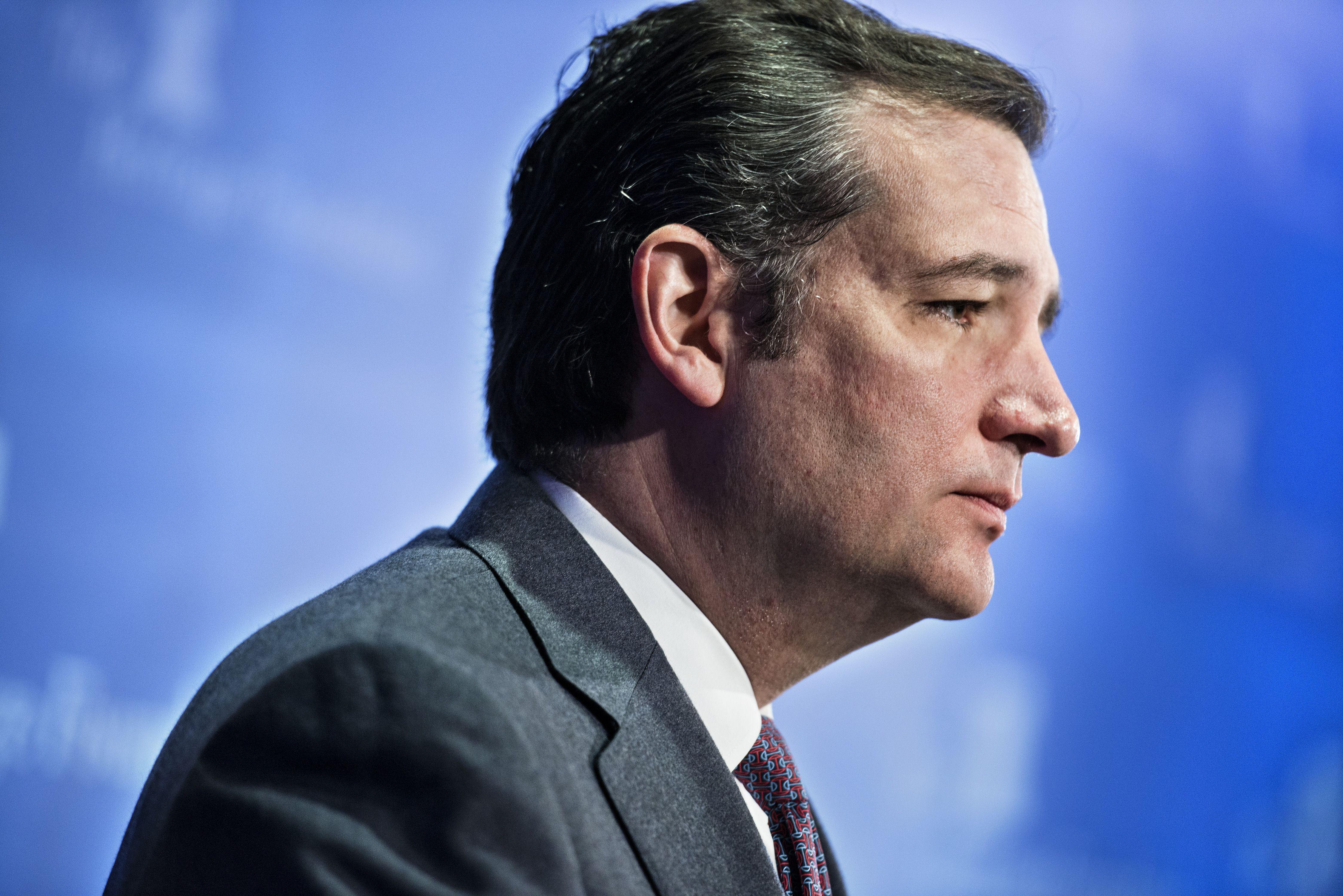 Ted Cruz in Close Texas Senate Race, Poll Says - Bloomberg, image size:4500x3003