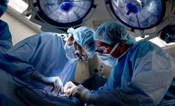 A doctor performs a kidney transplant in Maryland. 
