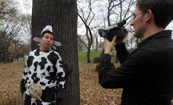Man in a Cow Suit
