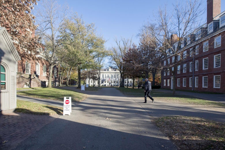 Harvard Yard