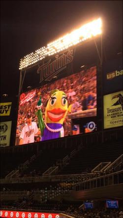mascot race screen.