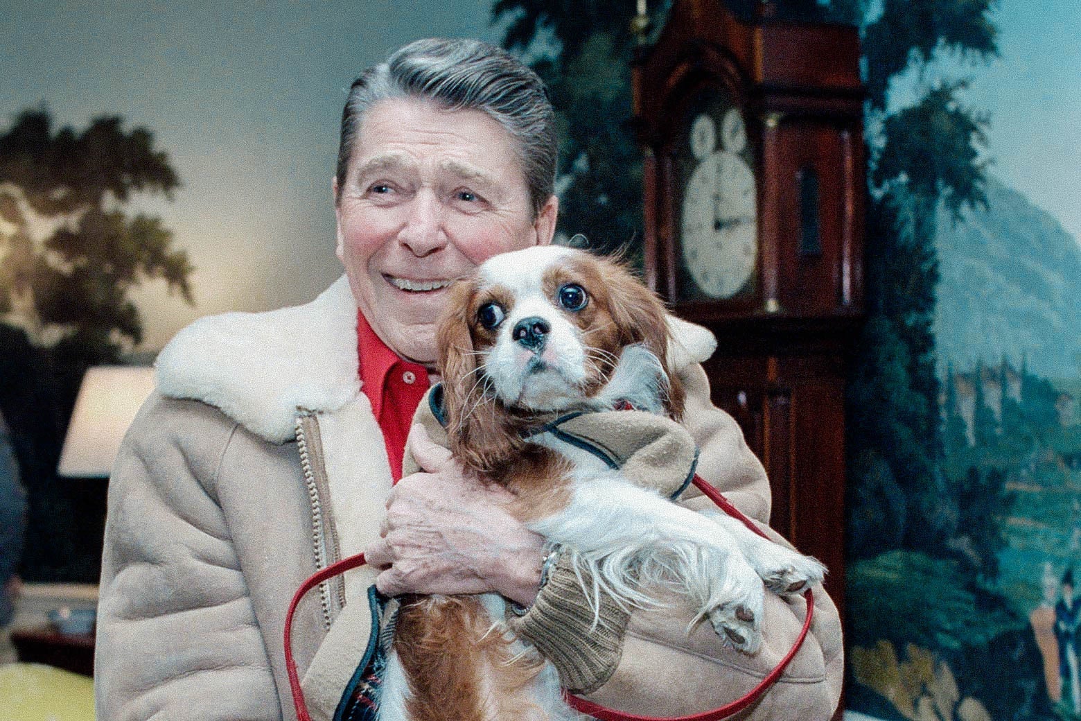 Ronald Reagan, grinning, in a tan jacket, holds an alarmed looking dog.