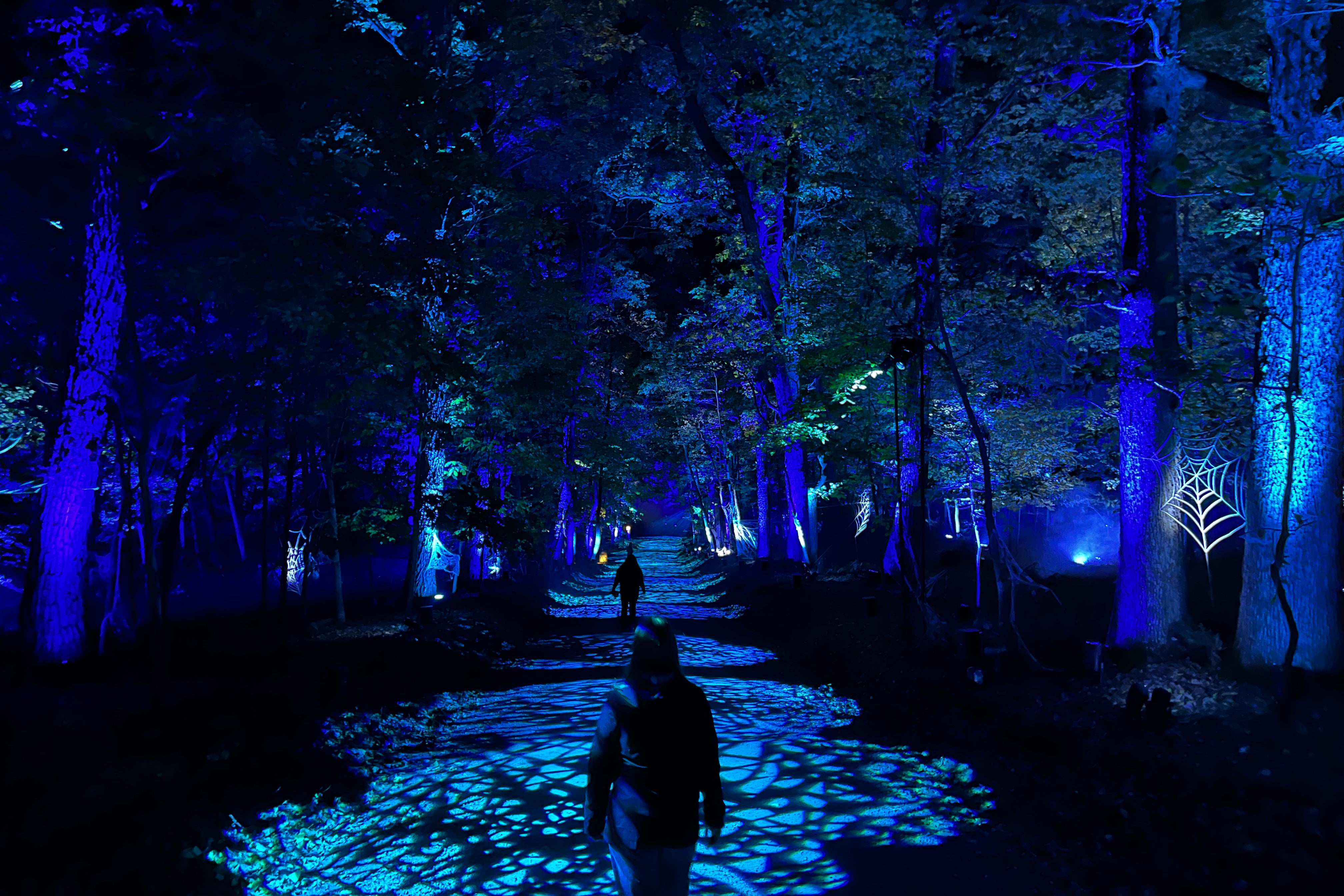 A teenager walks down a pathway between the trees, vividly illuminated in purple and blue.
