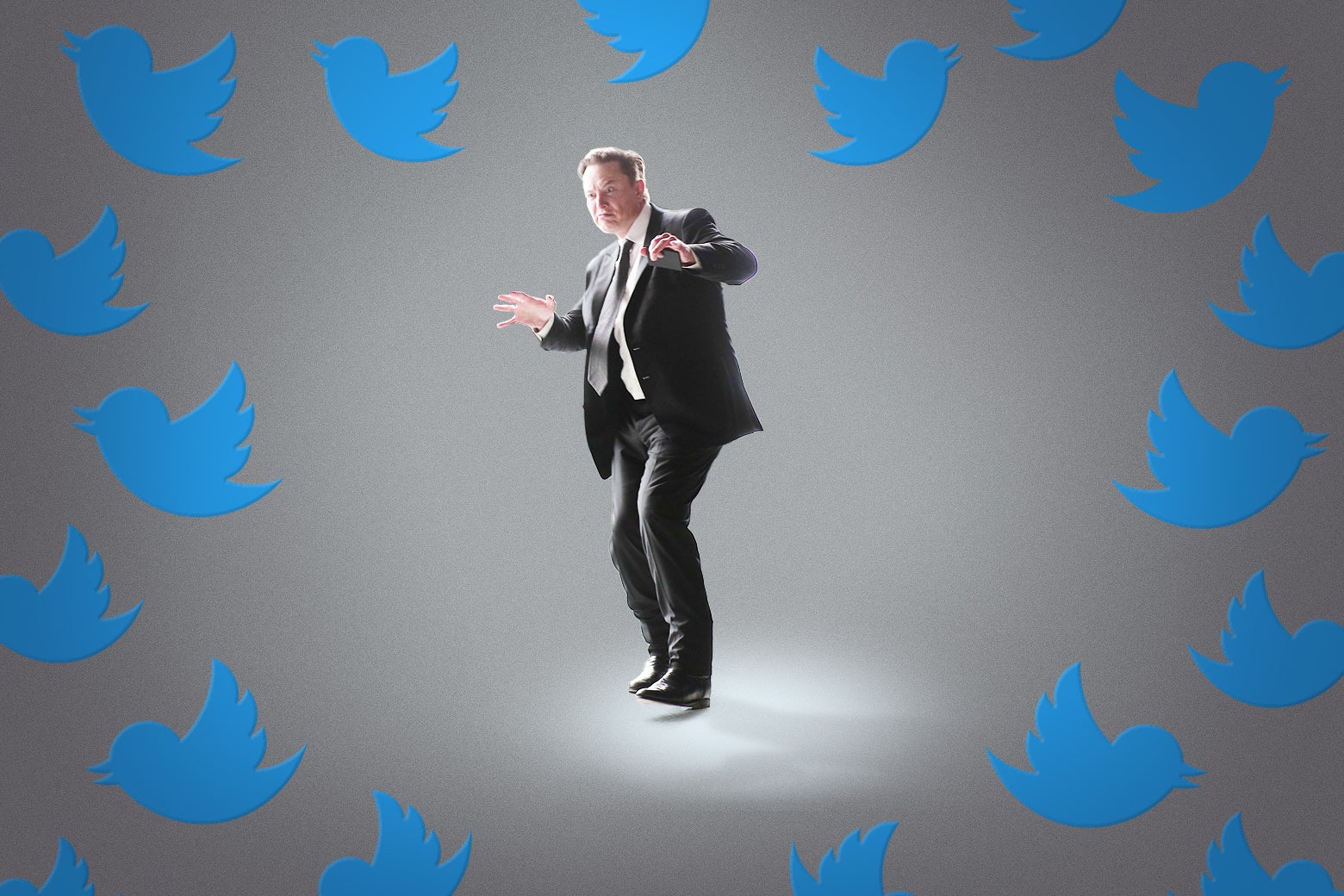 Elon Musk stands as a flock of Twitter logos surrounds him.