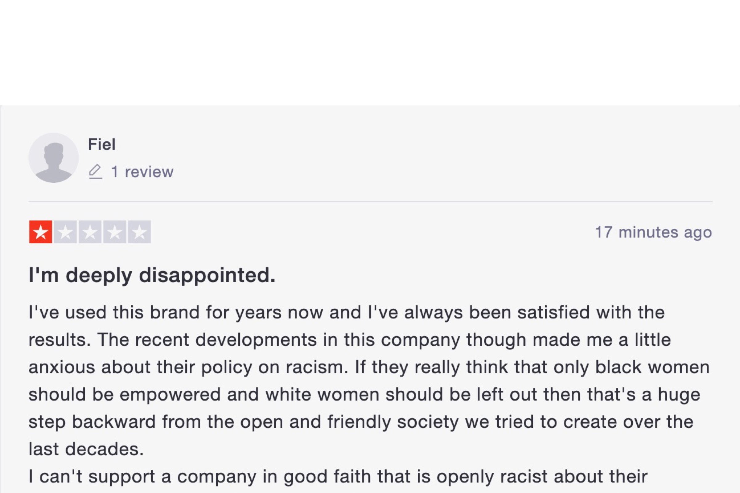 A screenshot of a malicious comment left on the Trustpilot page for the Honey Pot.