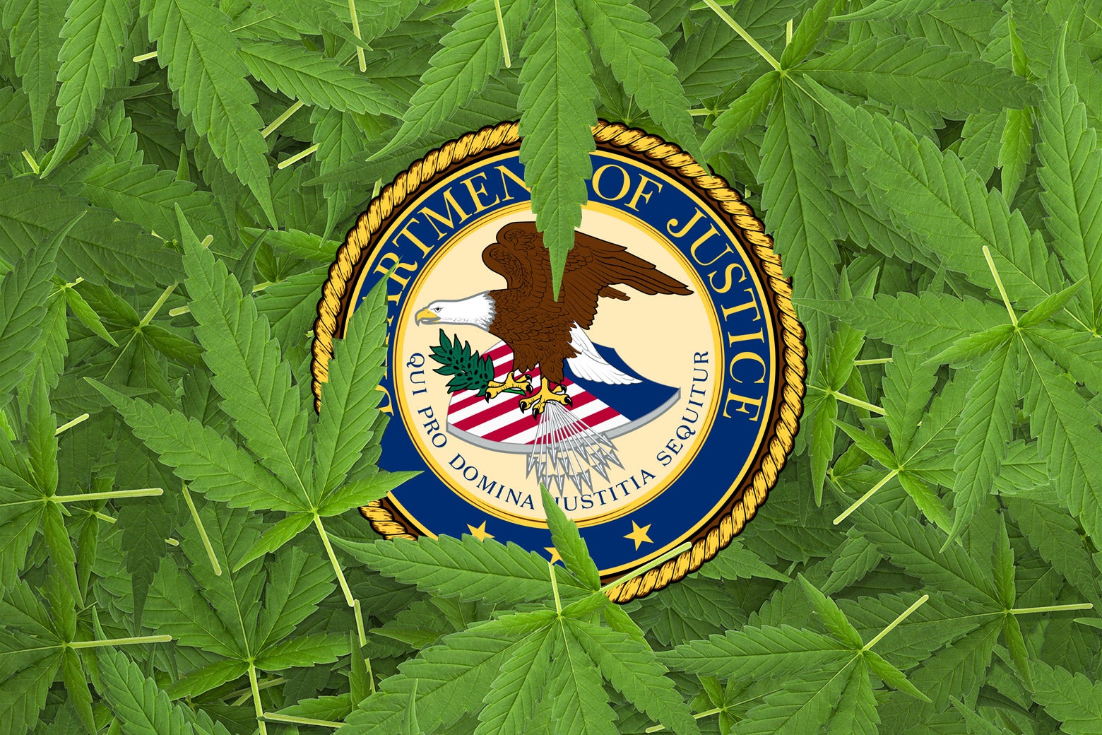 The seal of the U.S. Department of Justice buried in a pile of marijuana leaves.