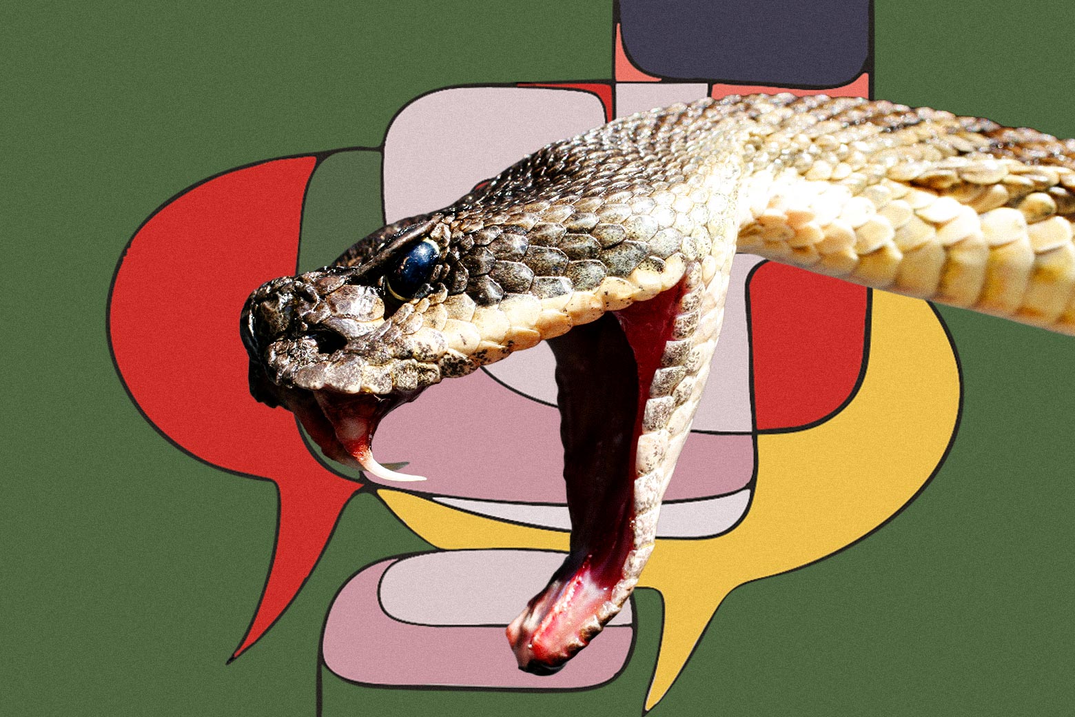 Death, SNAKES & Money