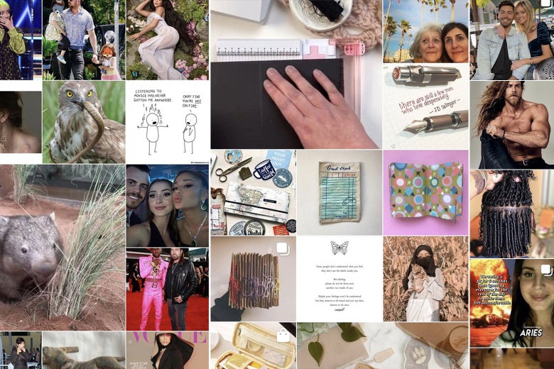 A collage of various pictures from an Instagram Explore feed, including photos of animals, celebrities, pens, and paper crafts.