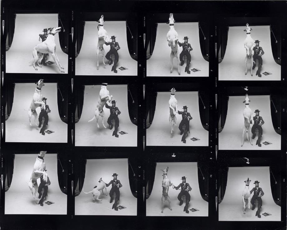 Photographs of David Bowie for Diamond Dogs, 1974.