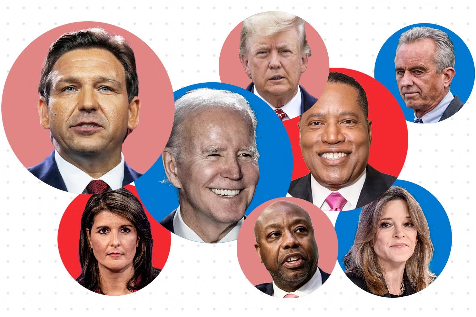 Who’s <em>Actually</em> Running for President in 2024? Shirin Ali